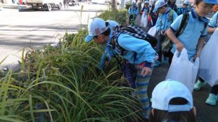 街角の宝(ゴミ)を集めながら２駅歩きました。